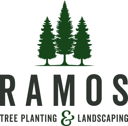 Ramos tree planting & landscaping